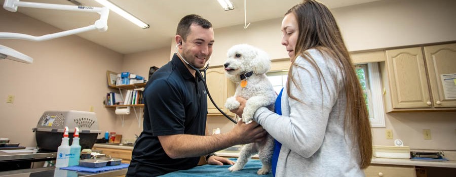 Pre-Veterinary Science | University Of The Cumberlands